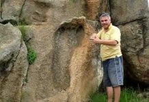 Urma gigant veche de peste 200 de milioane de ani – Africa de Sud