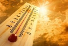 Cinci metode care te vor ajuta sa treci mai usor peste canicula din aceasta vara