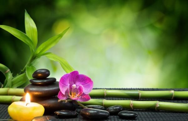 Animalele prosperitatii: Cele patru simboluri norocoase din Feng Shui