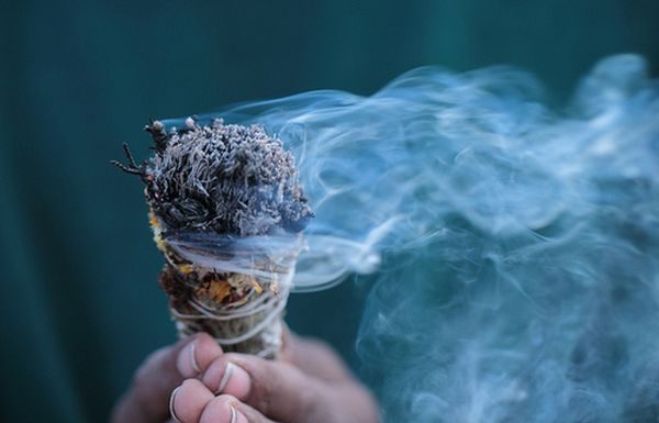 Cele sapte plante care pot elimina energia negativa din casa ta