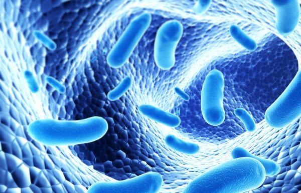 Cele SASE beneficii uimitoare ale probioticelor