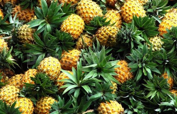 Ananasul – fructul din care poti prepara cel mai eficient sirop de tuse