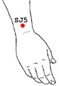 sj5