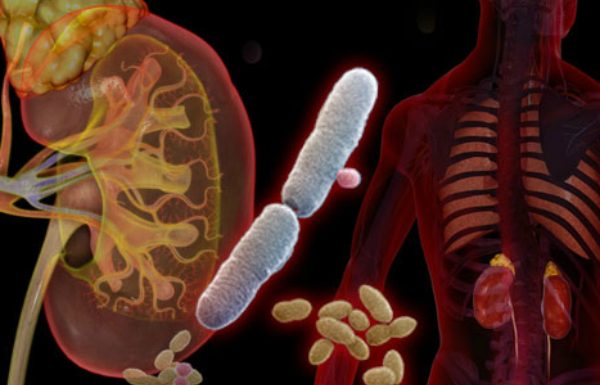 Aceasta combinatie trateaza infectiile tractului urinar (ITU)!