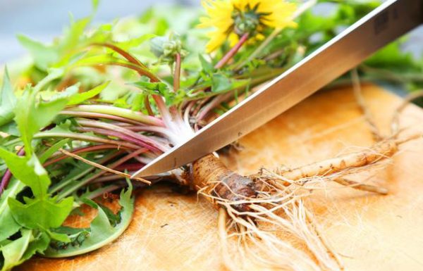 Miraculoasa planta care ucide cancerul in mod natural